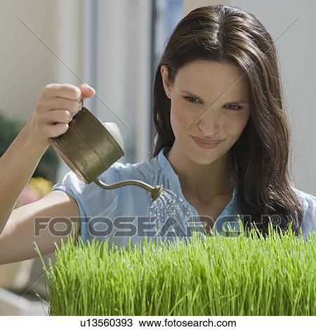 Stock Image - Woman watering grass. Fotosearch