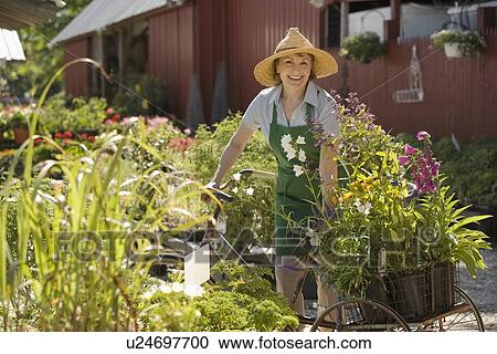 Woman working in garden center View Large Photo Image Stock Image - Woman working in garden center. Fotosearch