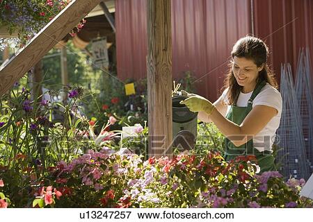 Stock Photo - Woman working in garden center. Fotosearch