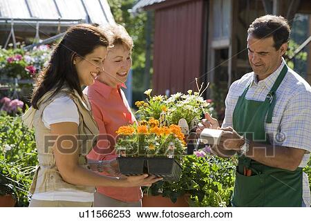 Women paying for flowers View Large Photo Image Stock Image - Women paying for flowers. Fotosearch