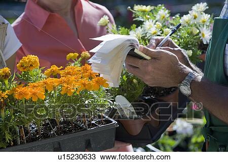 Stock Image - Women paying for flowers. Fotosearch