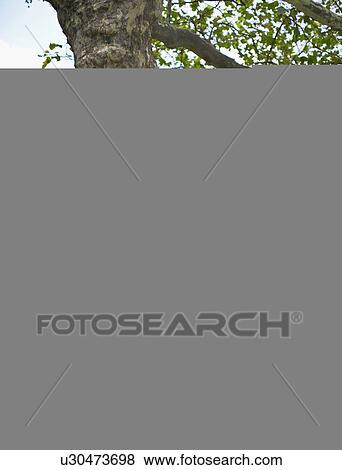 Stock Photo - Businessman Making Notes Under Tree. Fotosearch
