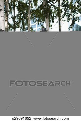 Stock Image - Businessman Reading Newspaper on Bench. Fotosearch