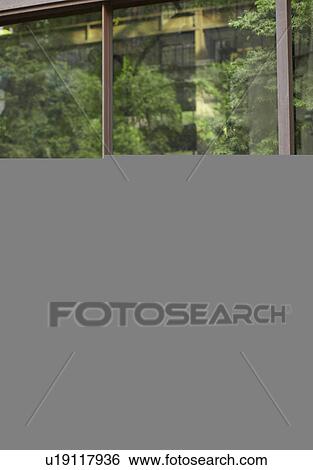 Businesswoman Cycling View Large Photo Image Stock Photograph - Businesswoman Cycling. Fotosearch