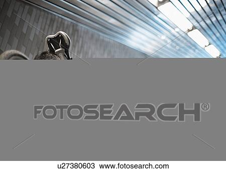 Man Carrying Bicycle on Escalator View Large Photo Image Stock Image - Man Carrying Bicycle on Escalator. Fotosearch