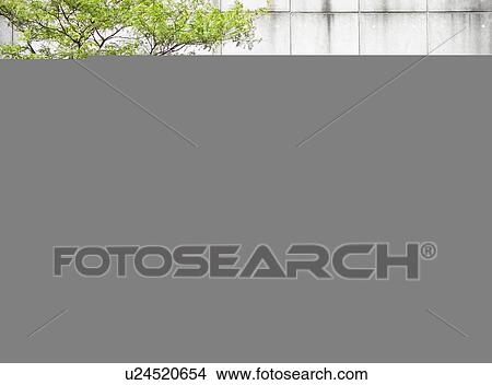Mid-Adult Woman Waiting at Bus Stop View Large Photo Image Picture - Mid-Adult Woman Waiting at Bus Stop. Fotosearch