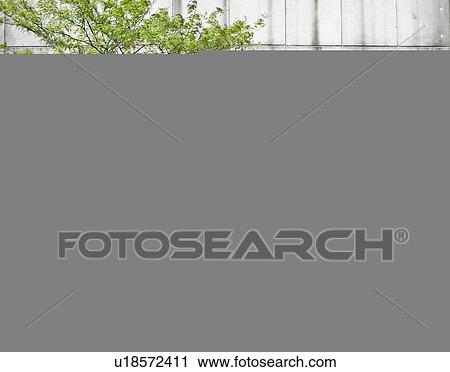 Mid-Adult Woman Waiting at Bus Stop View Large Photo Image Stock Image - Mid-Adult Woman Waiting at Bus Stop. Fotosearch