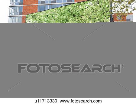 Stock Image - Young Businessman Cycling Beside Bus. Fotosearch