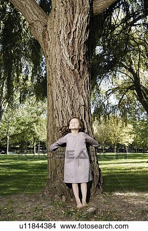 5 years old girl standing by a tree View Large Photo Image Picture - 5 years old girl standing by a tree. Fotosearch