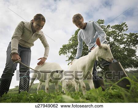 Boy And Girl with Goats View Large Photo Image Stock Image - Boy And Girl with Goats. Fotosearch