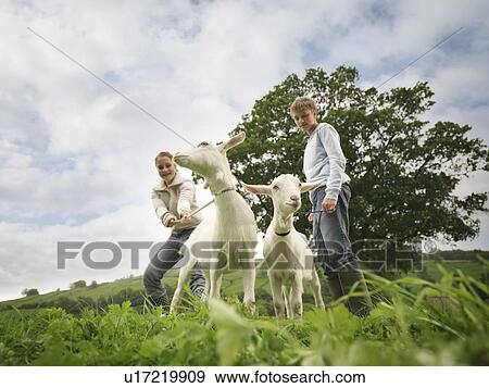 Stock Photo - Boy And Girl with Goats. Fotosearch