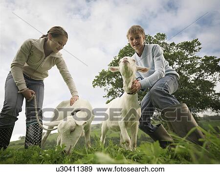 Stock Photo - Boy And Girl with Goats. Fotosearch