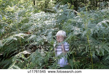 Boy hiding in ferns View Large Photo Image Stock Photography - Boy hiding in ferns. Fotosearch