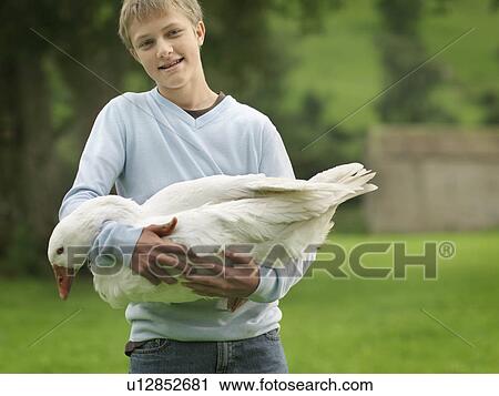 Stock Image - Boy Holding Goose. Fotosearch