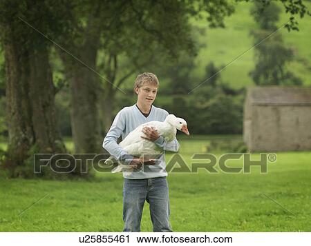 Stock Image - Boy Holding Goose. Fotosearch
