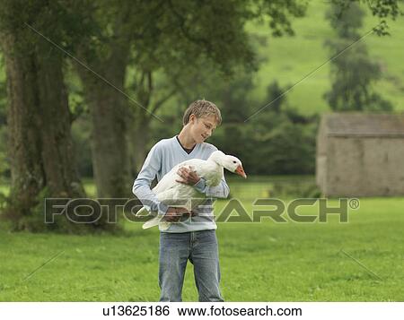 Stock Photograph - Boy Holding Goose. Fotosearch