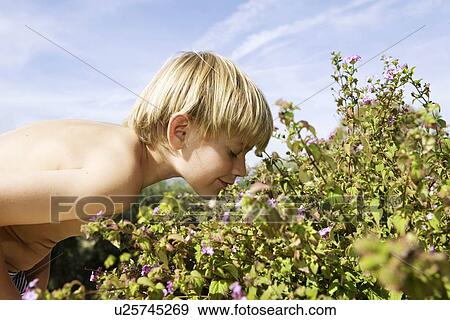 Boy Smelling Flowers View Large Photo Image Stock Photo - Boy Smelling Flowers. Fotosearch