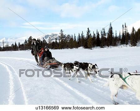 Family on dogsledge View Large Photo Image Stock Photo - Family on dogsledge. Fotosearch