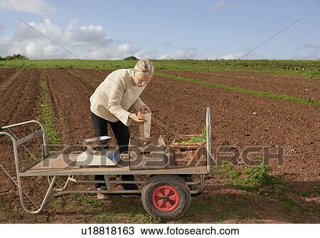 Stock Image - farm worker assesses crops. Fotosearch