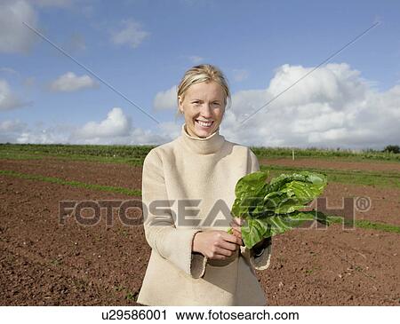 Stock Image - farm worker holds spinach. Fotosearch