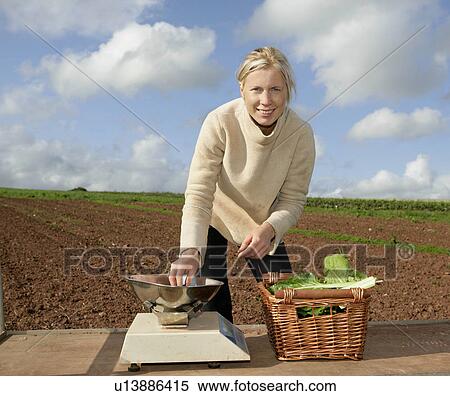 farm worker weighs crops View Large Photo Image Stock Photography - farm worker weighs crops. Fotosearch