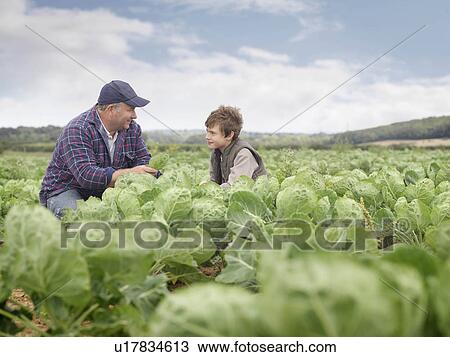 Stock Image - Farmer And Son In Crop Field. Fotosearch