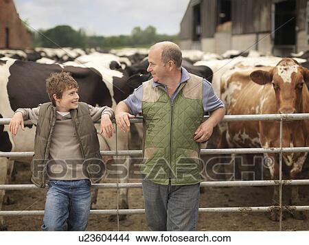 Farmer And Son With Cows View Large Photo Image Picture - Farmer And Son With Cows. Fotosearch