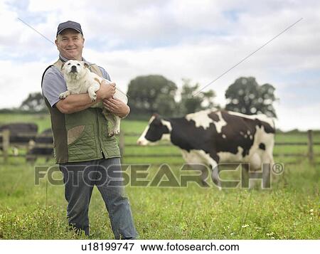 Farmer Holding Dog In Cow Field View Large Photo Image Stock Photo - Farmer Holding Dog In Cow Field. Fotosearch