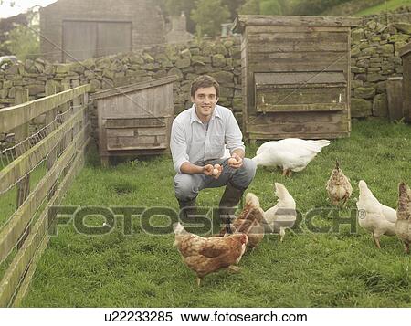 Farmer Holding Eggs with Hens And Geese View Large Photo Image Stock Photography - Farmer Holding Eggs with Hens And Geese. Fotosearch