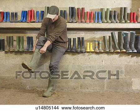 Picture - Farmer Putting On Wellington Boots. Fotosearch