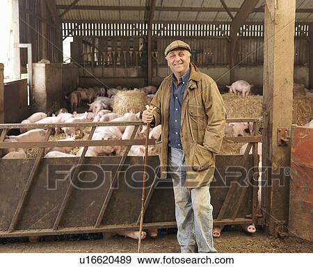 Stock Photo - Farmer With Pigs. Fotosearch