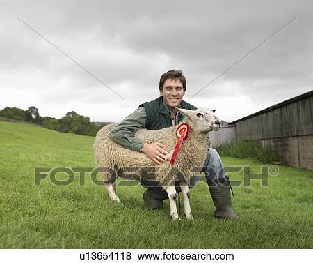 Farmer With Prize-Winning Sheep View Large Photo Image Stock Photo - Farmer With Prize-Winning Sheep. Fotosearch