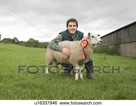 Stock Photograph - Farmer With Prize-Winning Sheep. Fotosearch