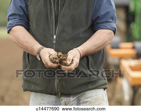 Farmer's Hands Holding Soil View Large Photo Image Stock Image - Farmer's Hands Holding Soil. Fotosearch