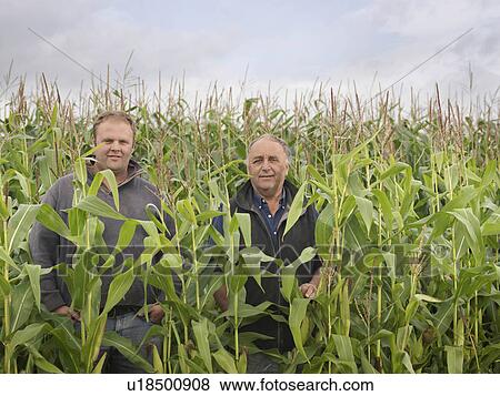 Farmers In Crop Field View Large Photo Image Stock Photo - Farmers In Crop Field. Fotosearch