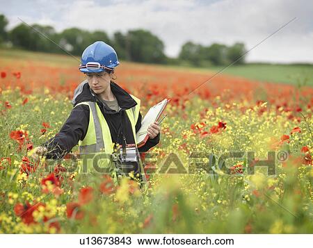 Stock Image - Female Ecologist In Poppy Field. Fotosearch
