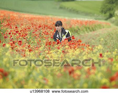 Stock Photo - Female Ecologist In Poppy Field. Fotosearch