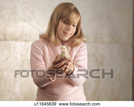 Girl Holding Chick View Large Photo Image Stock Photo - Girl Holding Chick. Fotosearch