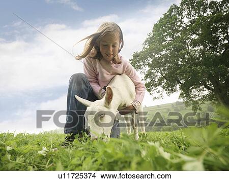Girl Holding Goat View Large Photo Image Picture - Girl Holding Goat. Fotosearch