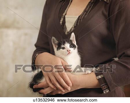 Girl Holding Kitten View Large Photo Image Stock Photograph - Girl Holding Kitten. Fotosearch