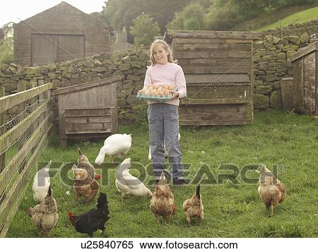 Stock Photography - Girl Holding Tray Of Eggs With Hens. Fotosearch