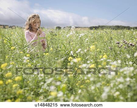 Girl In Field With Flowers View Large Photo Image Stock Photography - Girl In Field With Flowers. Fotosearch