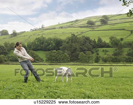 Girl With Goat On Rope View Large Photo Image Stock Photography - Girl With Goat On Rope. Fotosearch