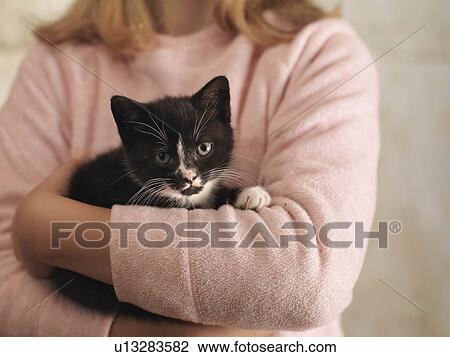Girl's Hands Holding Kitten View Large Photo Image Stock Image - Girl's Hands Holding Kitten. Fotosearch