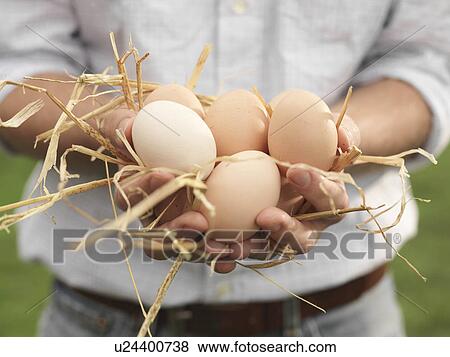 Stock Photo - Hands Holding Eggs. Fotosearch