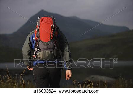 Hiker carrying a backpack. View Large Photo Image Picture - Hiker carrying a backpack.. Fotosearch