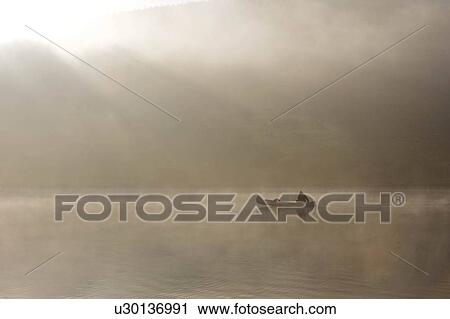 Stock Image - Kayaking in the morning mist.. Fotosearch