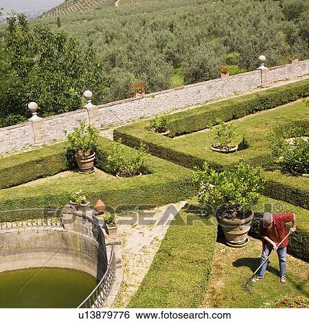 Stock Photograph - Man raking in a garden. Fotosearch