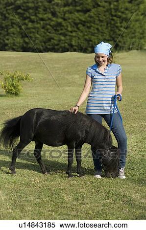 Stock Photography - Miniature horse running. Fotosearch
