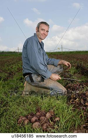 Stock Photography - portrait farm worker. Fotosearch